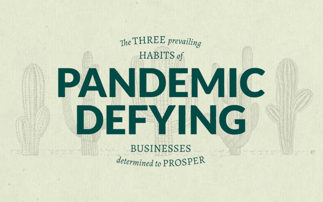 The 3 habits of pandemic defying businesses